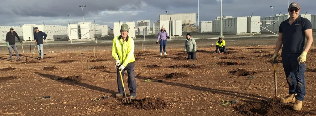 Tree planters @ battery farm 7.25